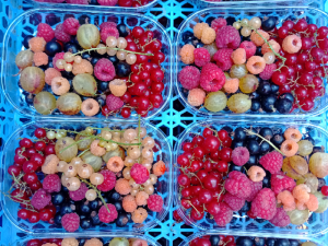 Fruits biologiques cultivés en plaine de Reymure, Isère, vendus au marché Méraki à Varces