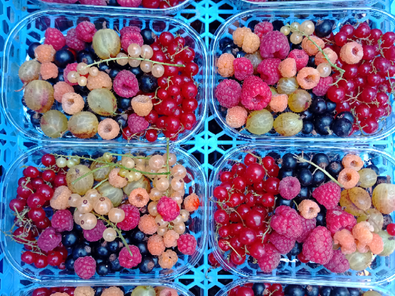 Fruits biologiques cultivés en plaine de Reymure, Isère, vendus au marché Méraki à Varces