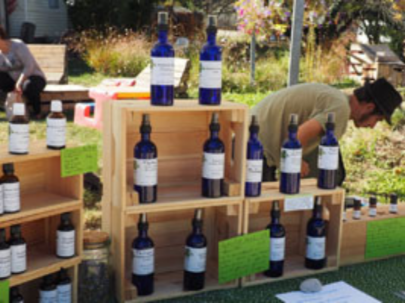 Plantes aromatiques et médicinales du marché paysan de Varces en Isère près de Grenoble