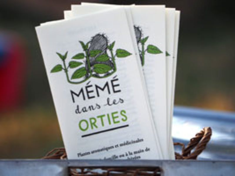 Plantes aromatiques et herbes du marché paysan de Varces