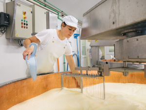 Producteur de fromage en Chartreuse au marché Meraki Varces