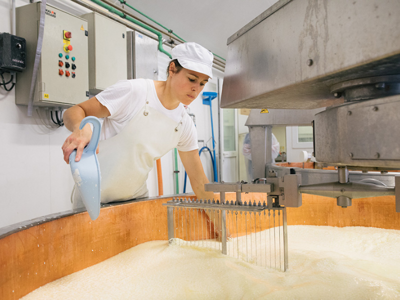 Producteur de fromage en Chartreuse au marché Meraki Varces