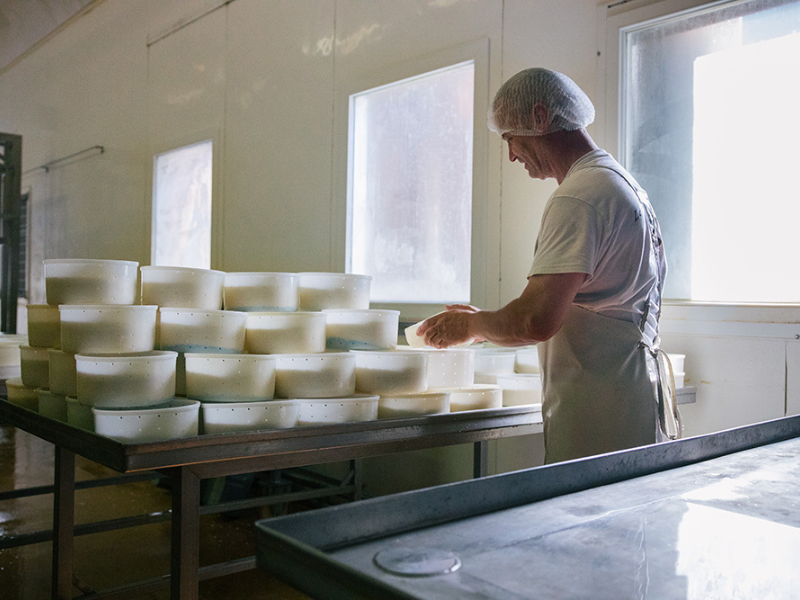 Fromages affinés locaux proposés au marché paysan Meraki à Varces